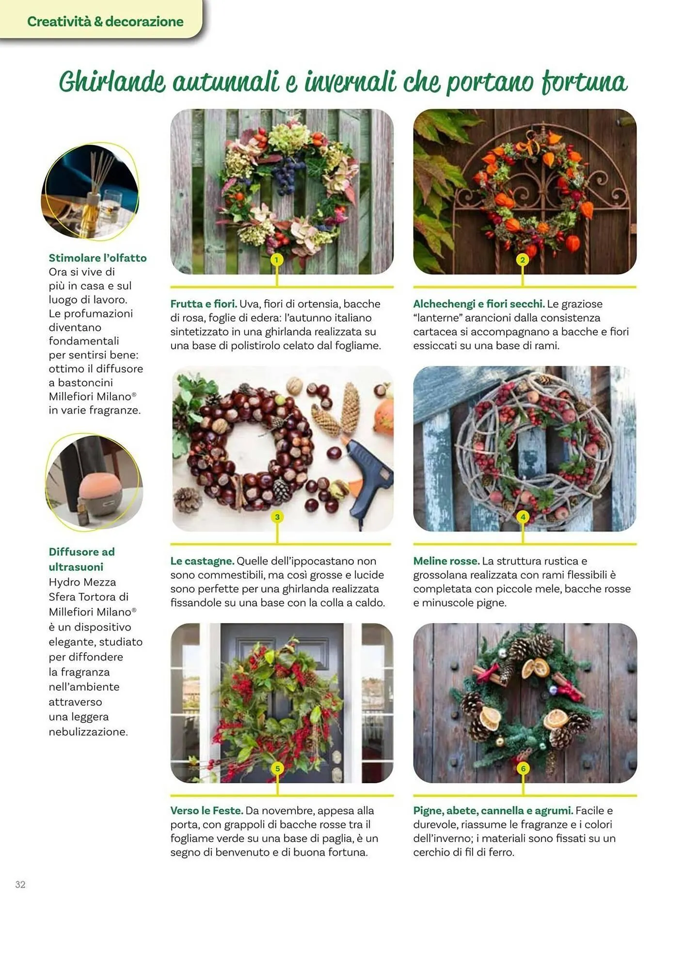 Volantino Viridea da 17 ottobre a 22 dicembre di 2025 - Pagina del volantino 32