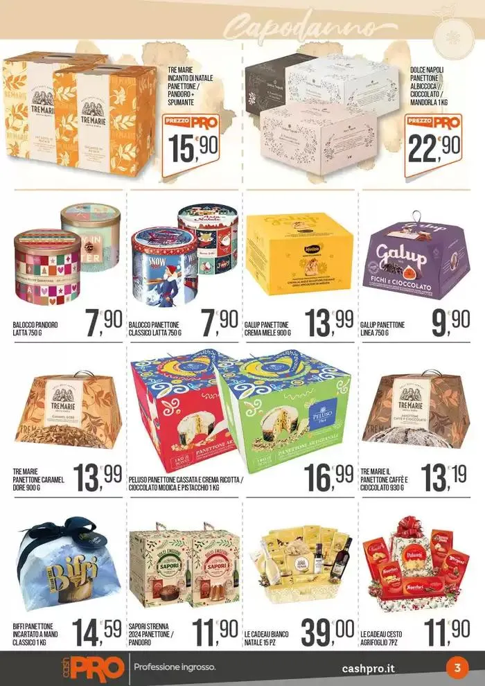 Professione ingrosso. da 26 dicembre a 12 gennaio di 2025 - Pagina del volantino 3