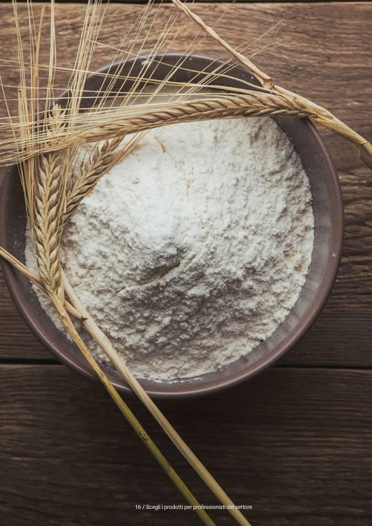 Volantino Centro Cash da 5 novembre a 31 dicembre di 2026 - Pagina del volantino 16