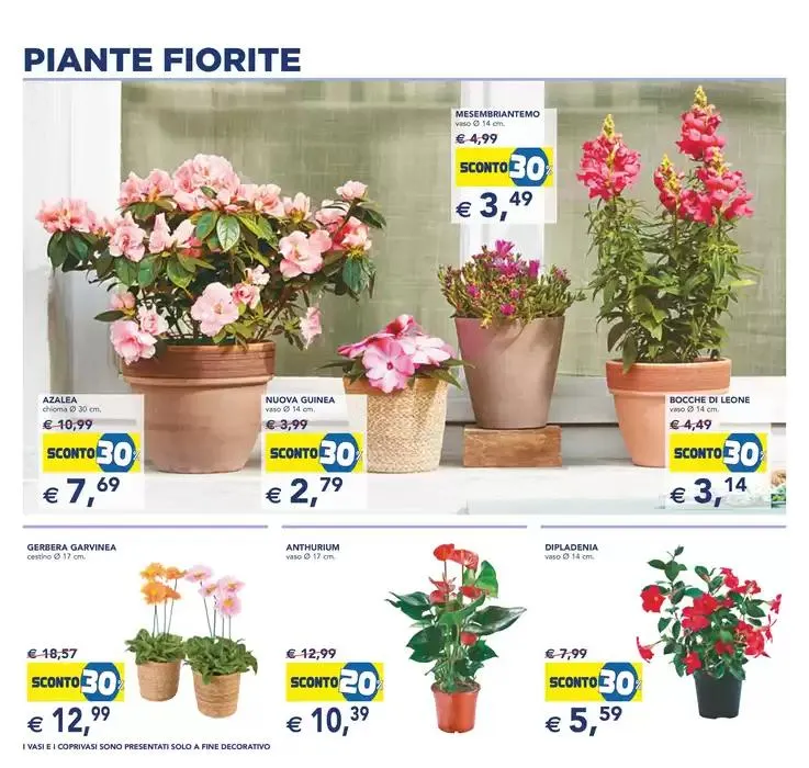 Festa dei fiori da 23 aprile a 6 maggio di 2025 - Pagina del volantino 4