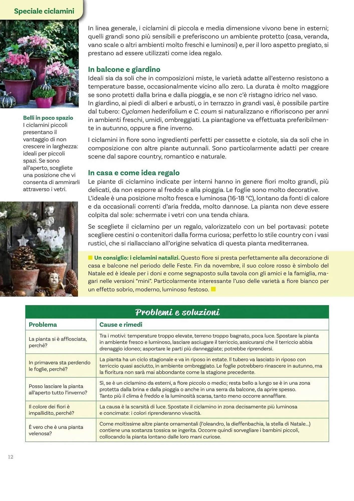 Volantino Viridea da 17 ottobre a 22 dicembre di 2025 - Pagina del volantino 12