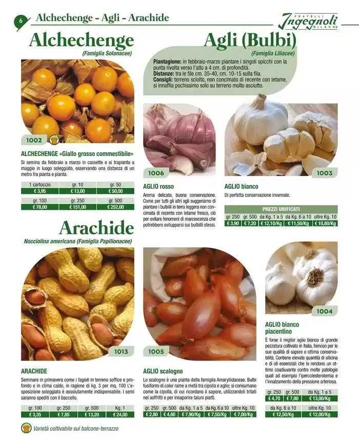 Catalogo guida 2025 da 20 gennaio a 31 dicembre di 2025 - Pagina del volantino 8