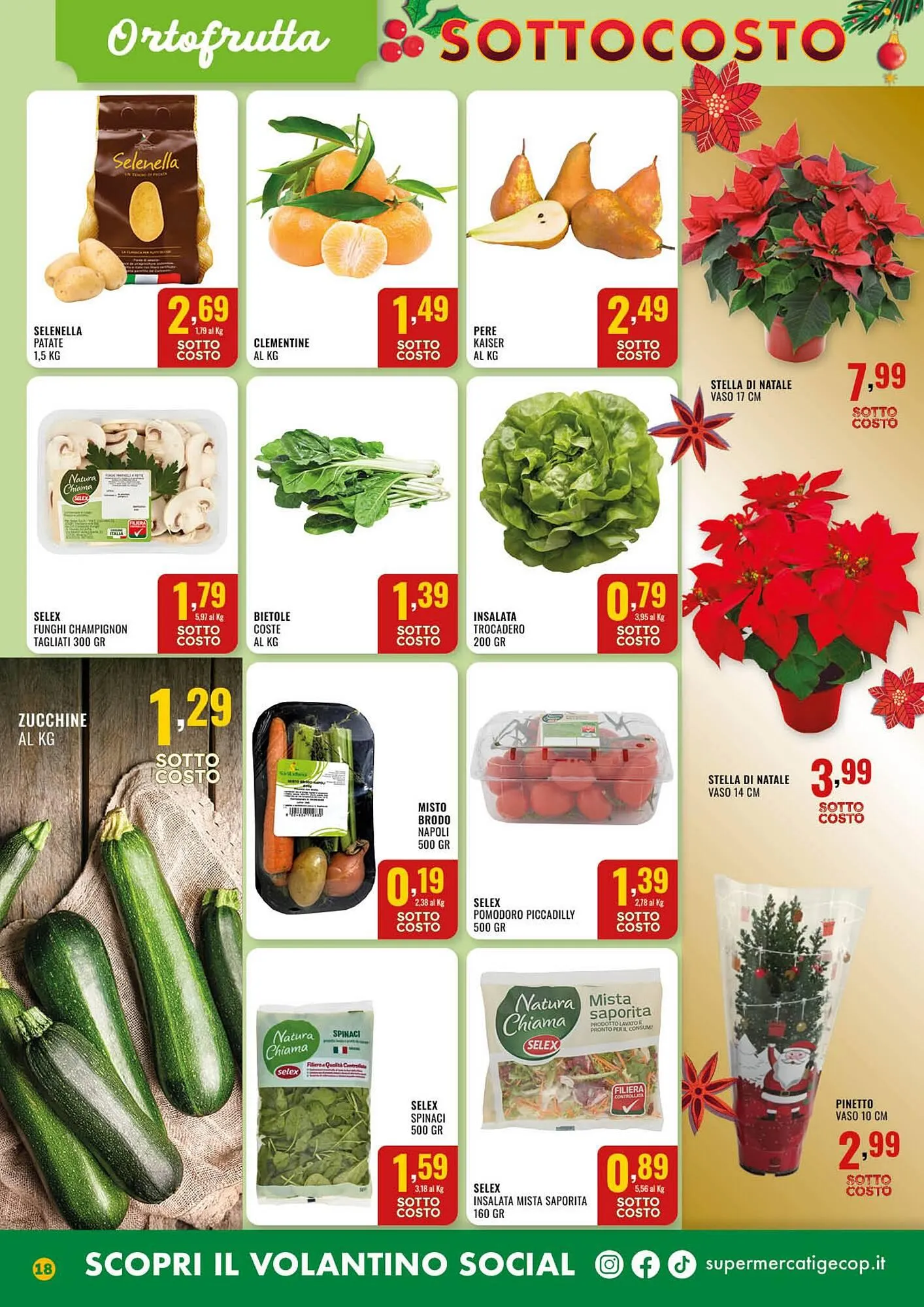 Volantino Gecop da 1 dicembre a 14 dicembre di 2025 - Pagina del volantino 18