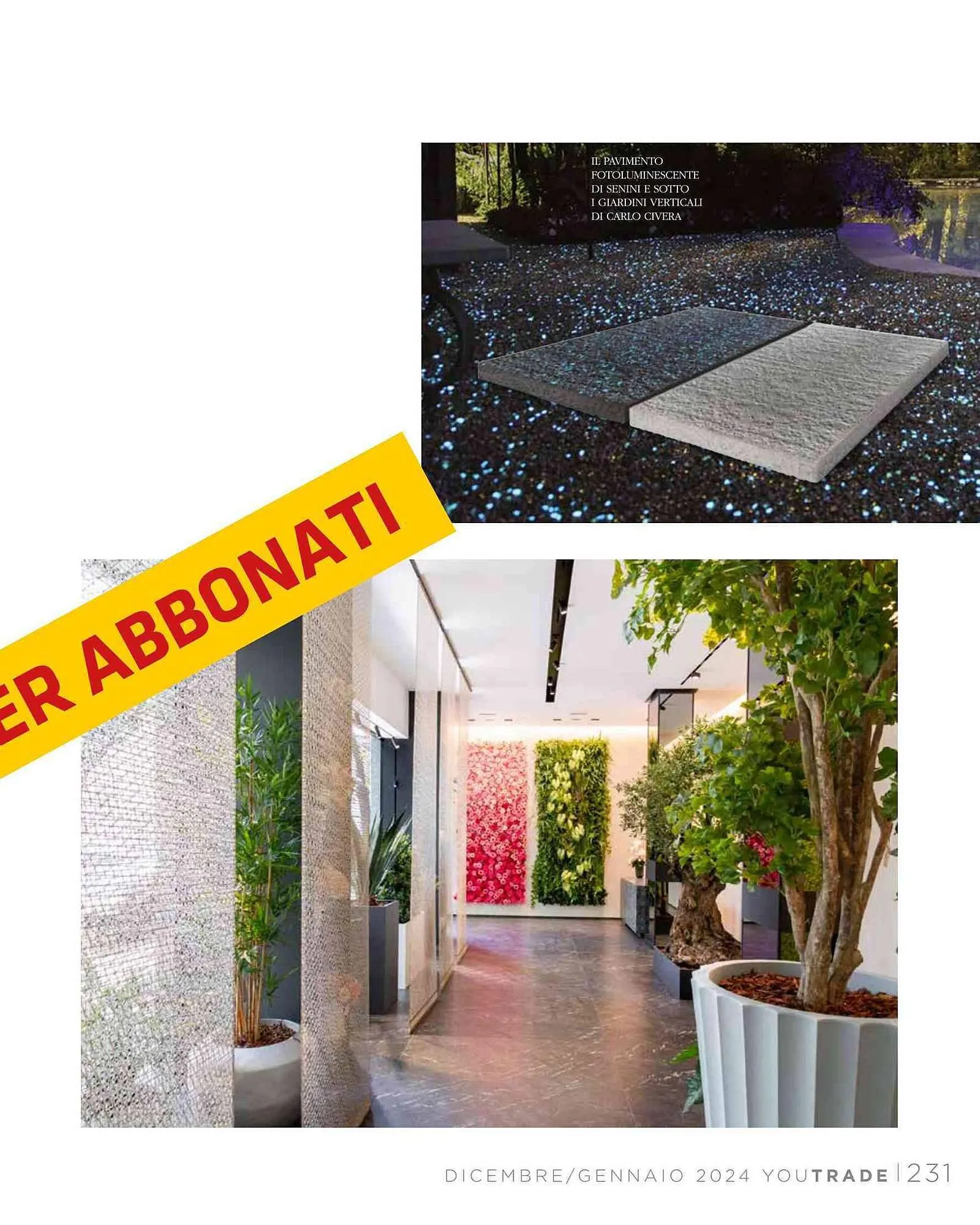 Volantino BigMat da 25 gennaio a 31 gennaio di 2024 - Pagina del volantino 233