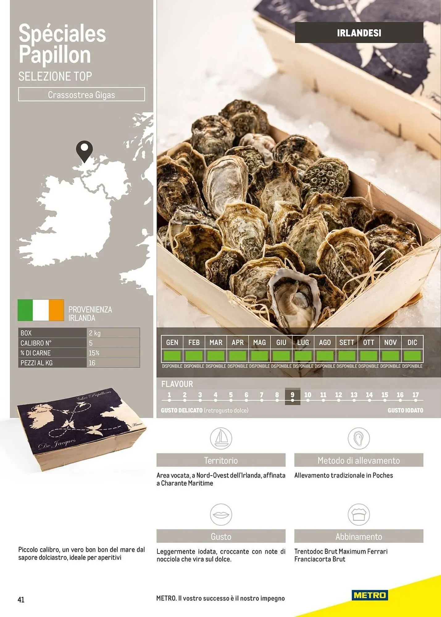 Volantino Metro da 16 giugno a 30 giugno di 2026 - Pagina del volantino 41