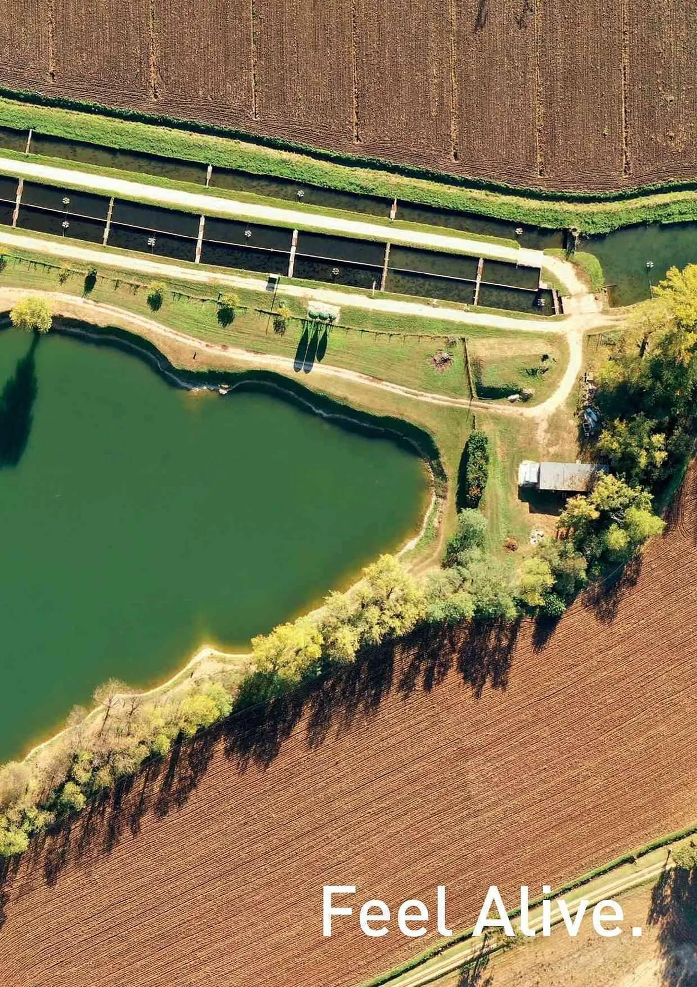 Volantino Daiwa da 4 febbraio a 31 dicembre di 2025 - Pagina del volantino 129