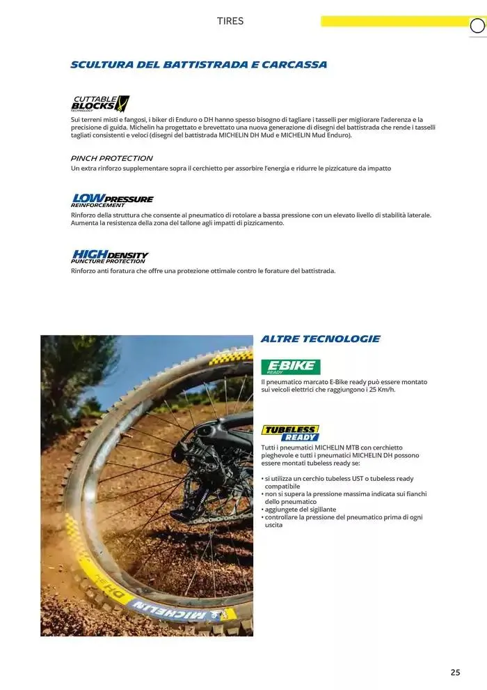 Catalogo AM 2025 da 17 gennaio a 31 dicembre di 2025 - Pagina del volantino 33