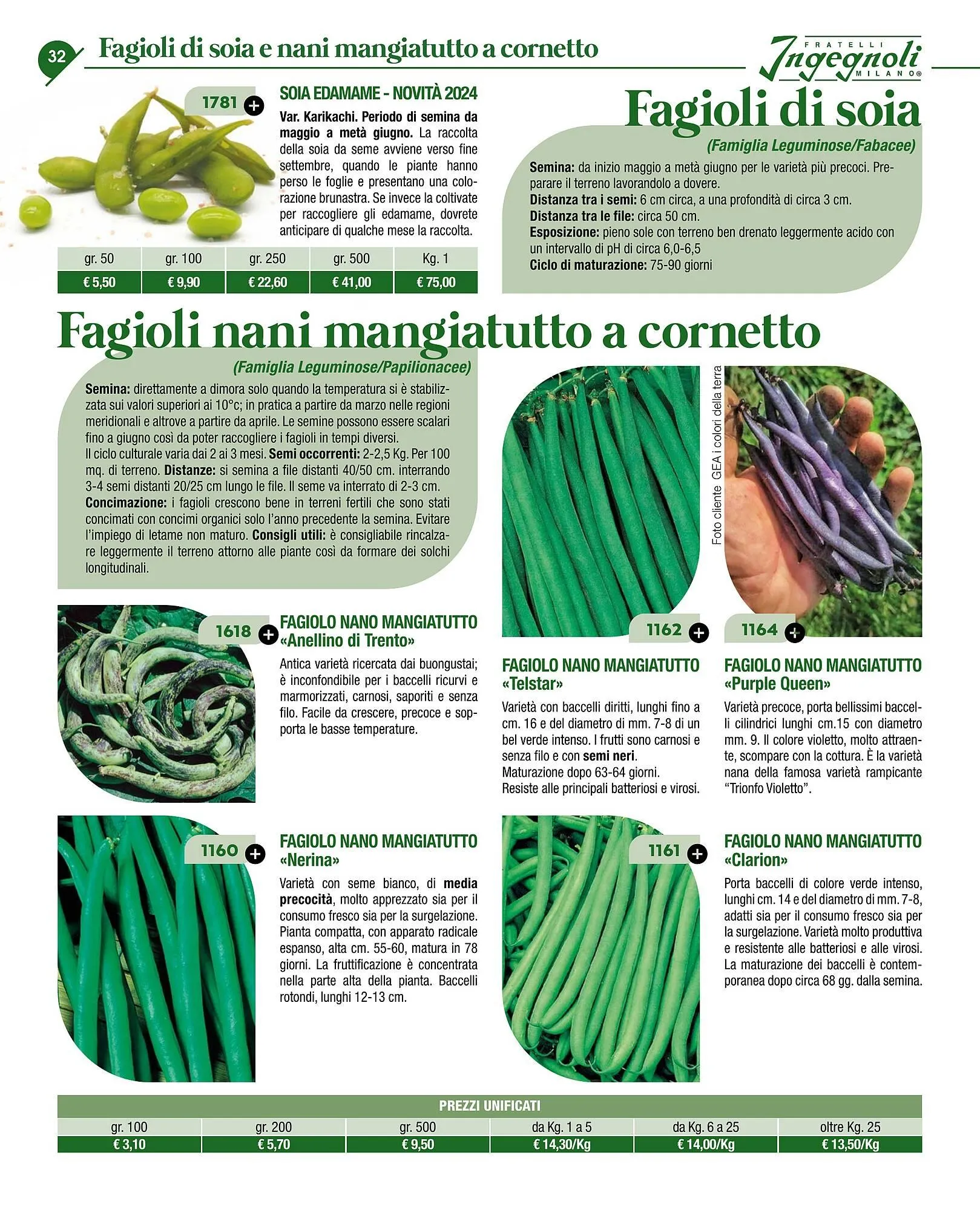 Volantino Ingegnoli da 4 novembre a 31 dicembre di 2025 - Pagina del volantino 34