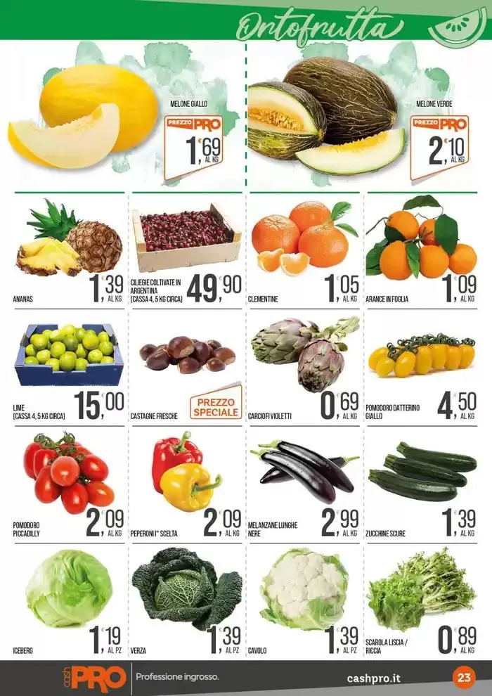 Professione ingrosso. da 26 dicembre a 12 gennaio di 2025 - Pagina del volantino 23