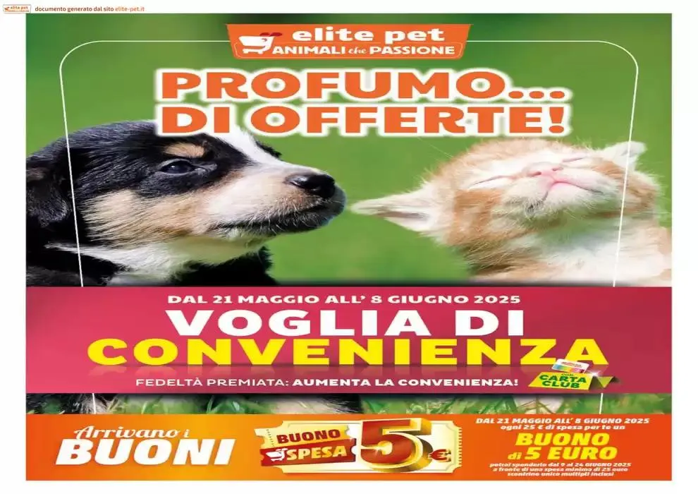 Profumo ... di offerte! - 1