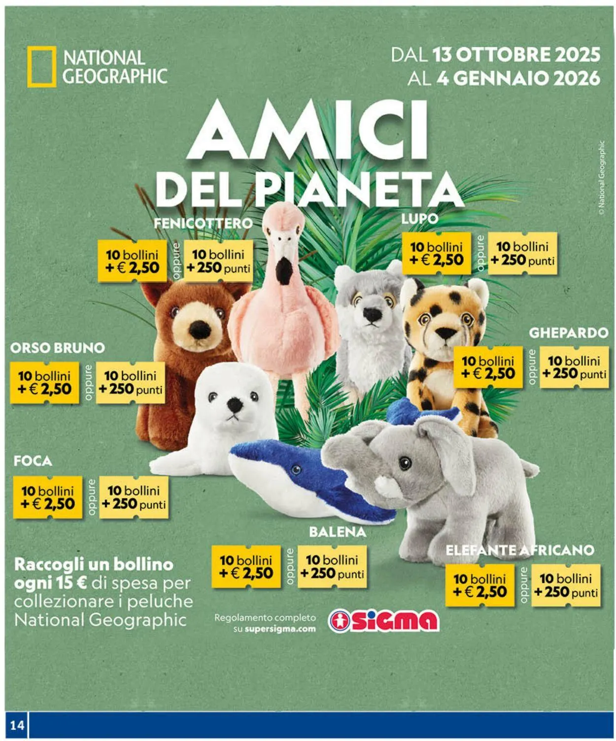 Sigma - Roma Volantino attuale da 16 ottobre a 27 ottobre di 2025 - Pagina del volantino 14