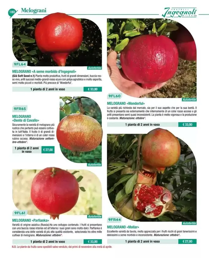 Catalogo guida 2025 da 20 gennaio a 31 dicembre di 2025 - Pagina del volantino 182