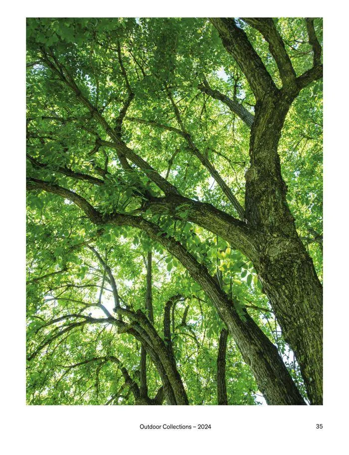 Outdoor decor collections 2024 da 1 febbraio a 30 giugno di 2024 - Pagina del volantino 37