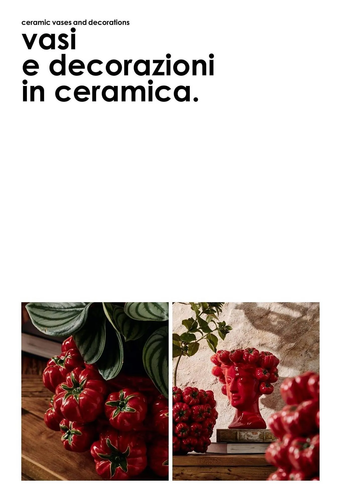 Volantino Bizzotto da 3 febbraio a 31 dicembre di 2025 - Pagina del volantino 17