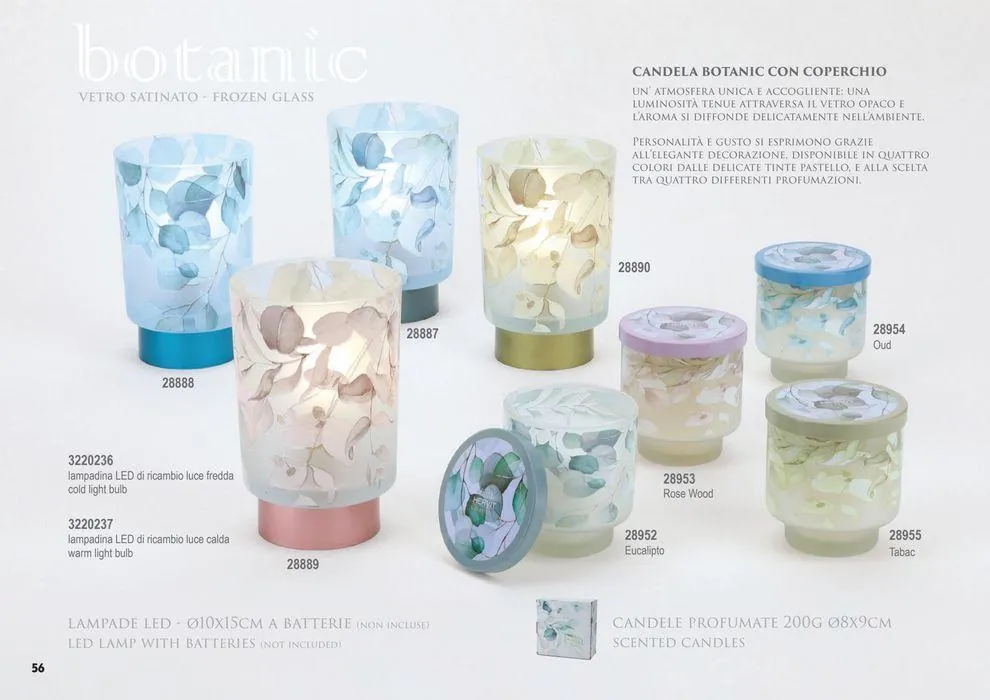 Botanic plus  da 25 marzo a 31 dicembre di 2024 - Pagina del volantino 56