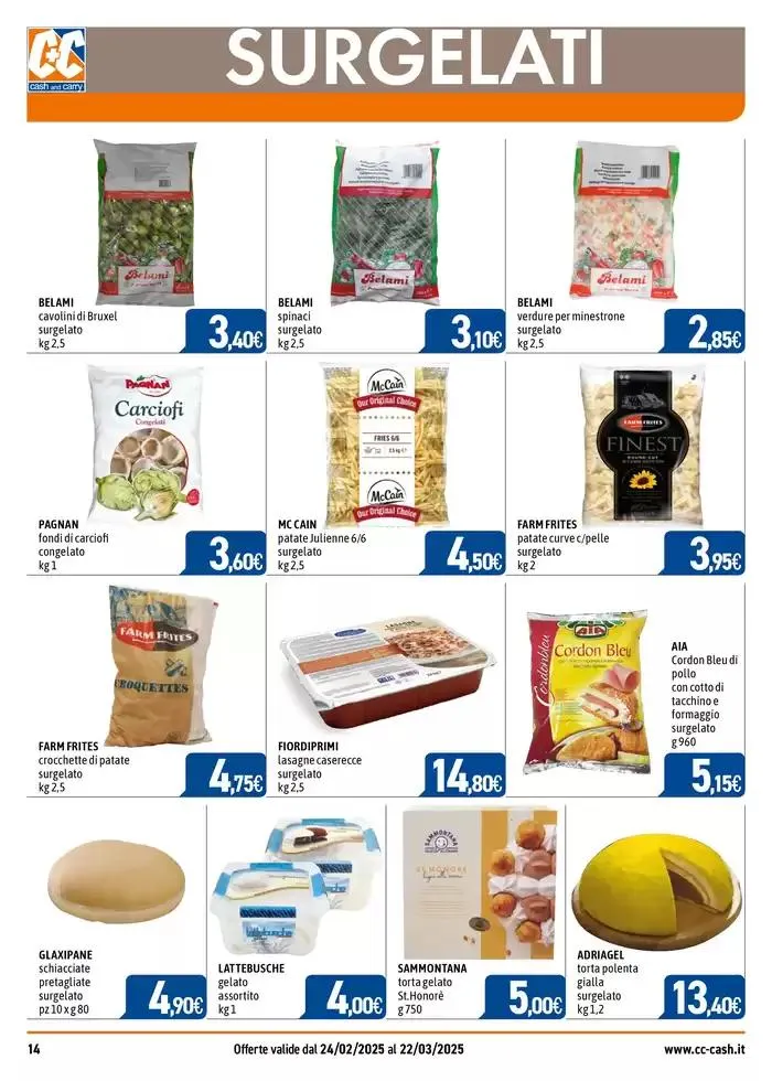 Professional da 25 febbraio a 22 marzo di 2025 - Pagina del volantino 14