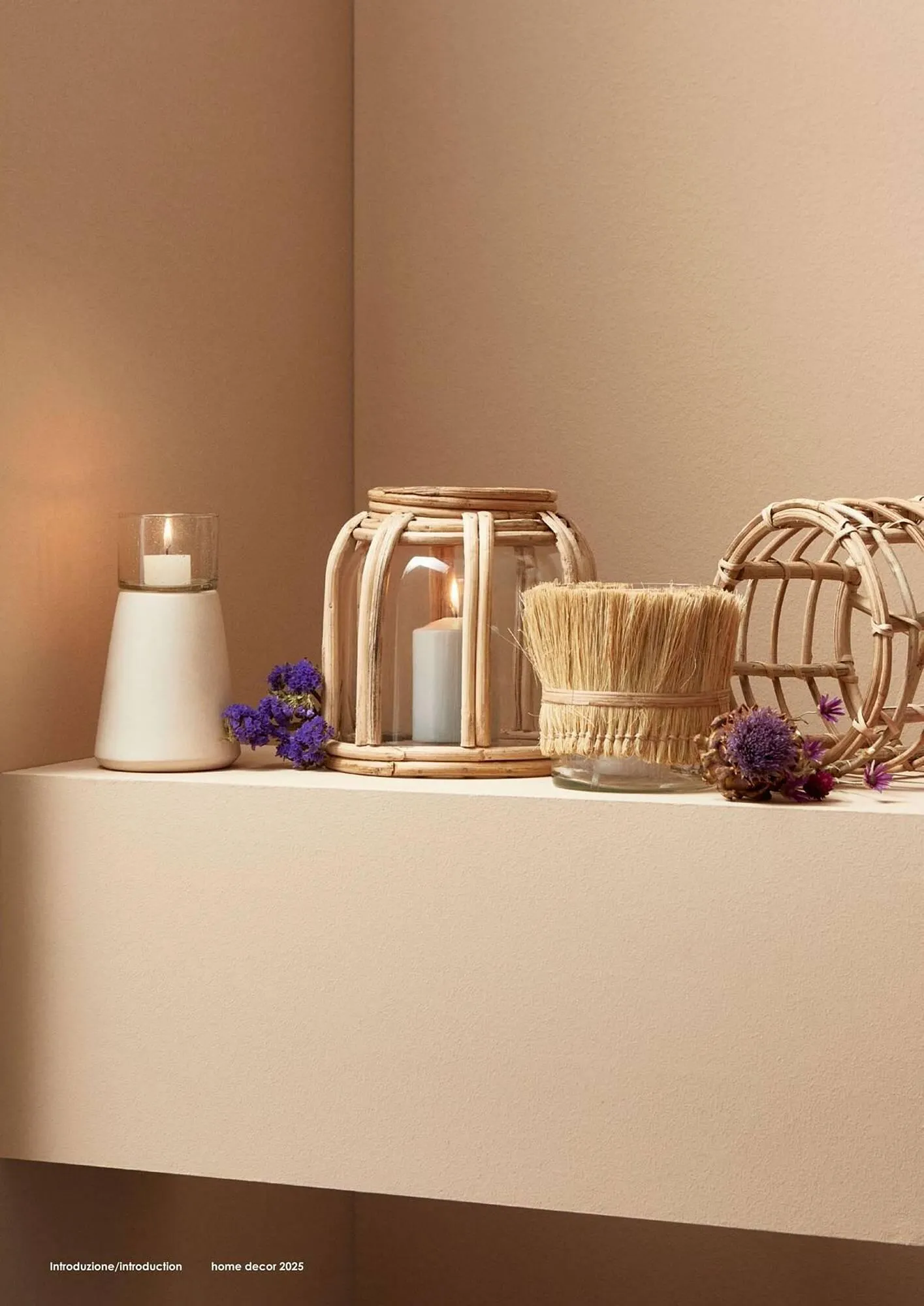 Volantino Bizzotto da 3 febbraio a 31 dicembre di 2025 - Pagina del volantino 12