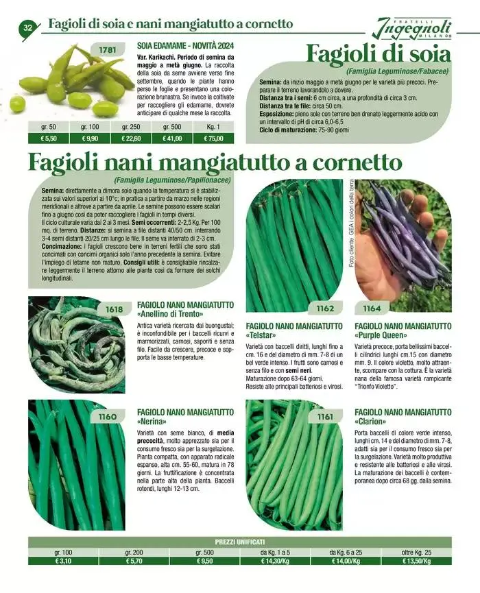 Novita 2025 da 4 novembre a 31 dicembre di 2025 - Pagina del volantino 31