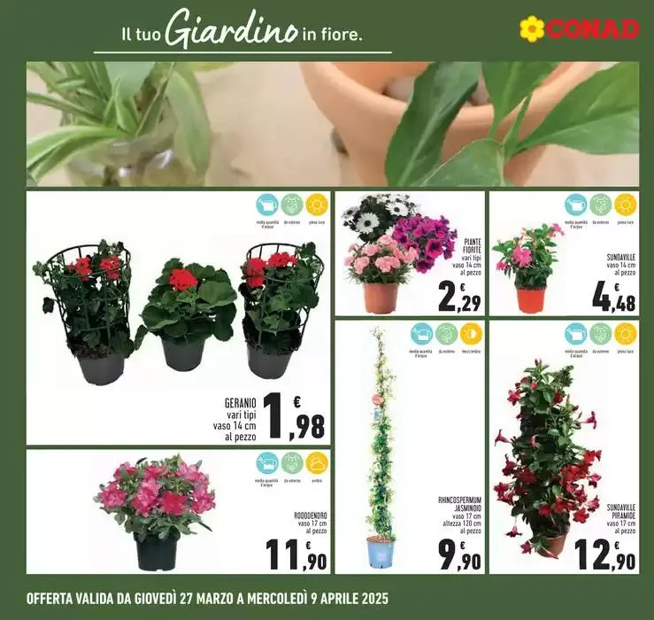 Sconti fino al 50% da 27 marzo a 9 aprile di 2025 - Pagina del volantino 22