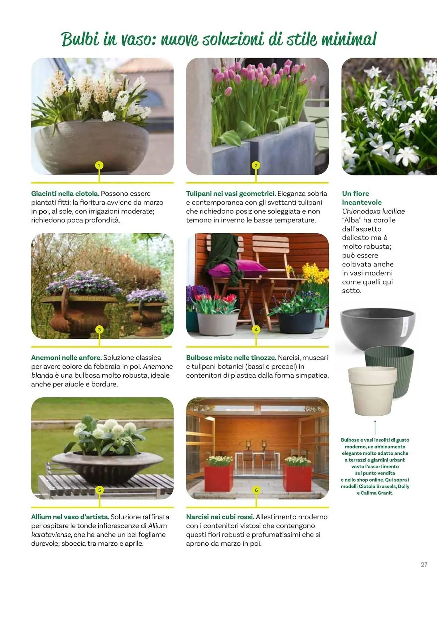 Volantino Viridea da 17 ottobre a 22 dicembre di 2025 - Pagina del volantino 27