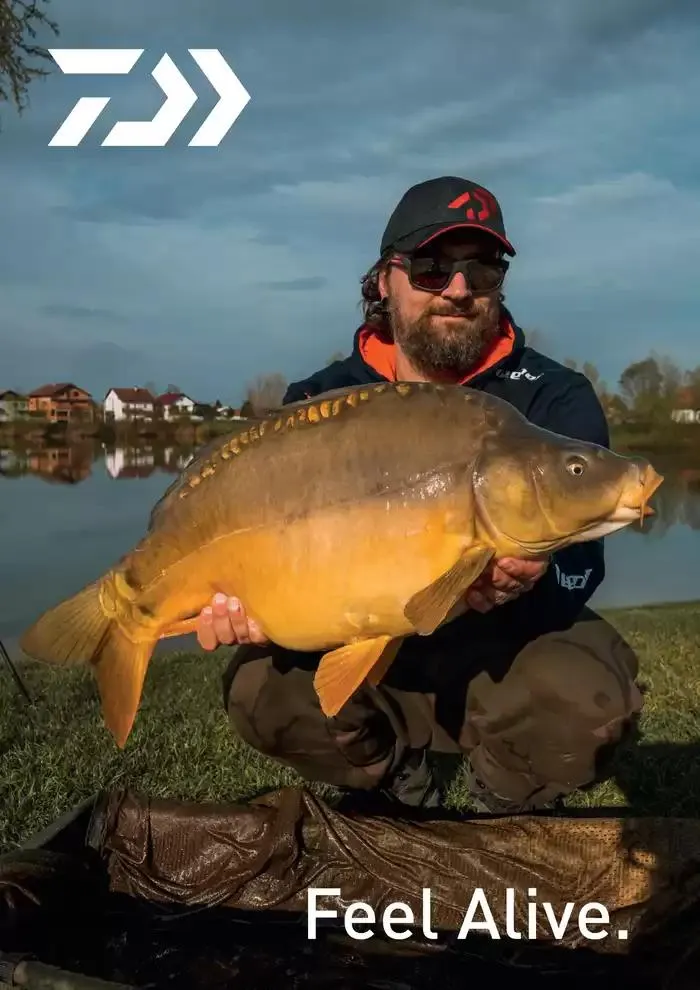 Catalogo 2025 da 4 febbraio a 31 dicembre di 2025 - Pagina del volantino 46