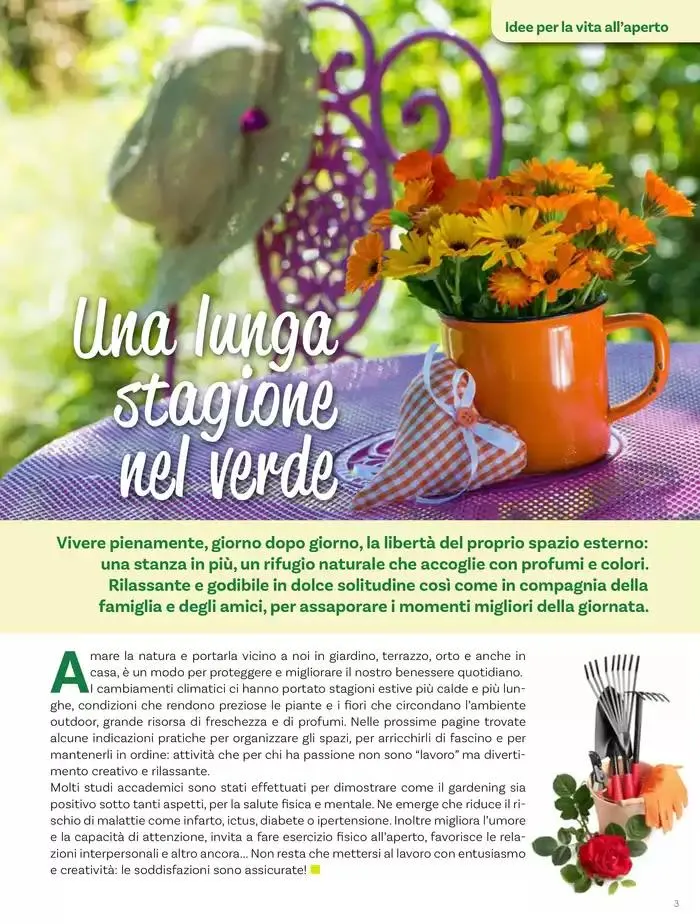 Idee per la vita all' aperto da 18 aprile a 18 maggio di 2025 - Pagina del volantino 3