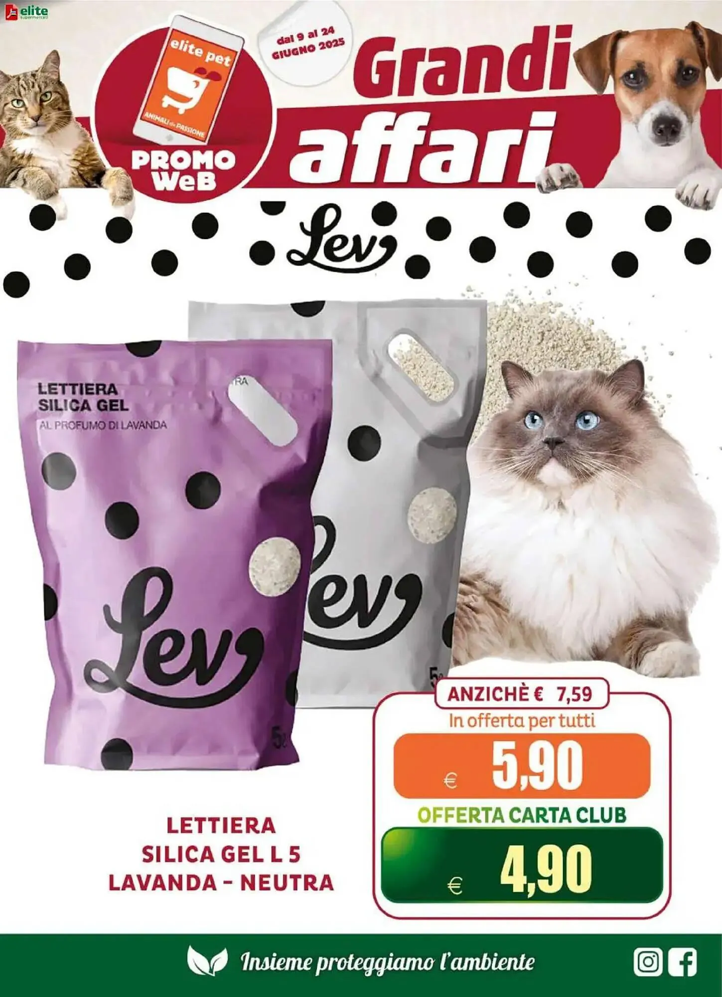 Volantino Elite Pet da 9 giugno a 24 giugno di 2025 - Pagina del volantino 6