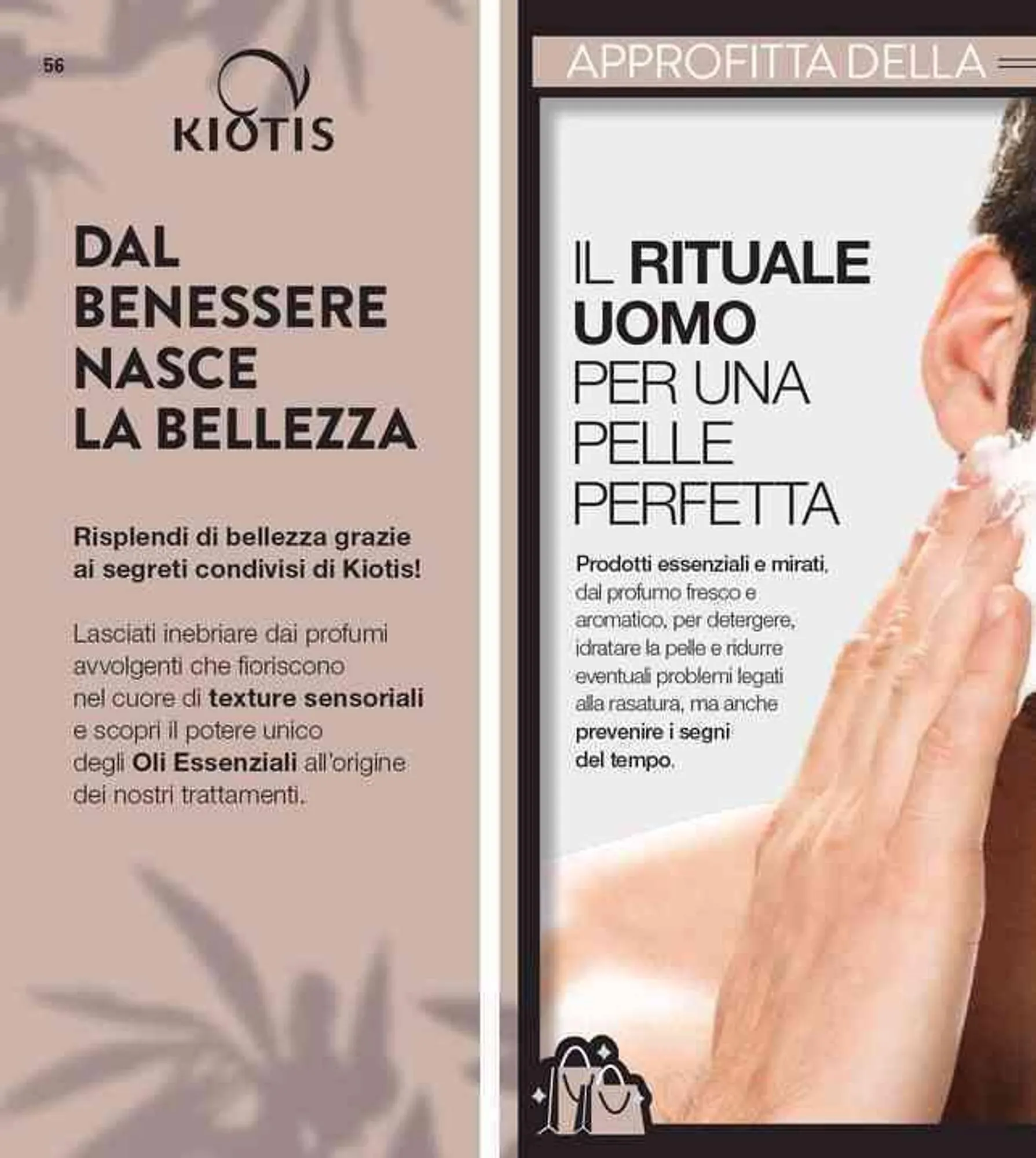 Volantino Stanhome da 13 novembre a 29 novembre di 2024 - Pagina del volantino 57