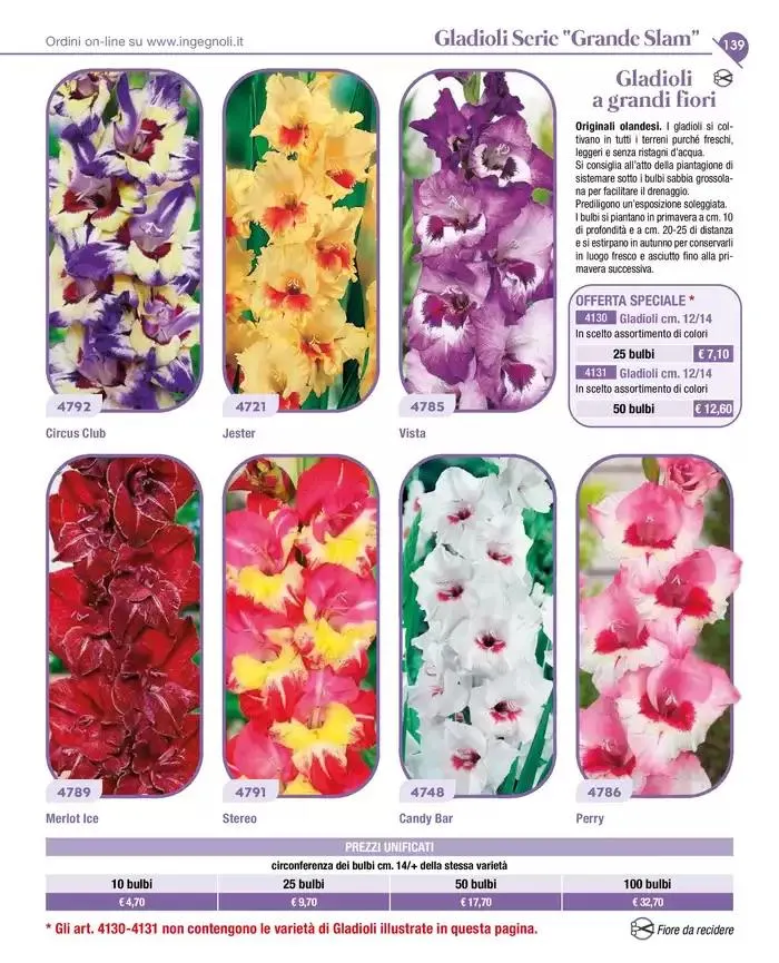 Novita da 4 novembre a 31 dicembre di 2025 - Pagina del volantino 12