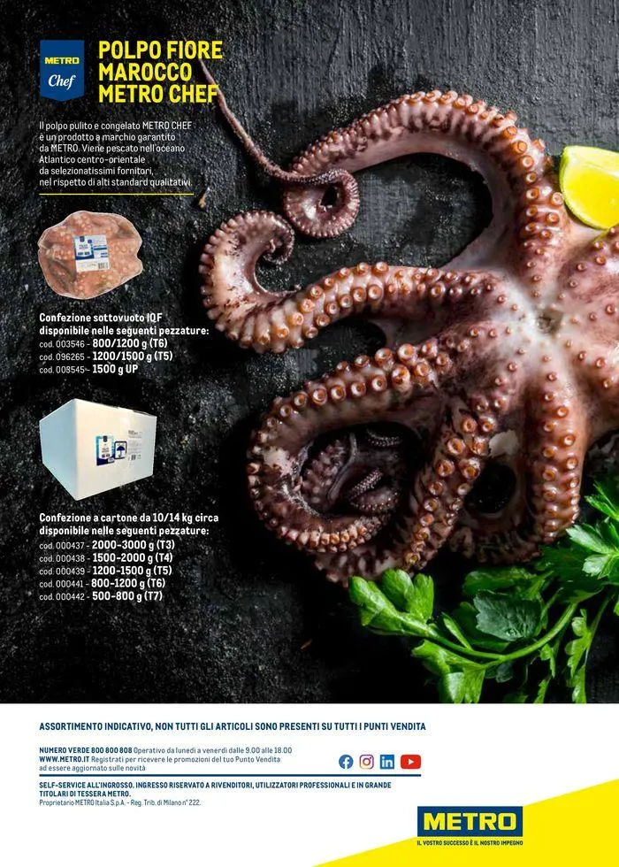 Catalogo Surgelati 2024 da 21 maggio a 31 maggio di 2025 - Pagina del volantino 104