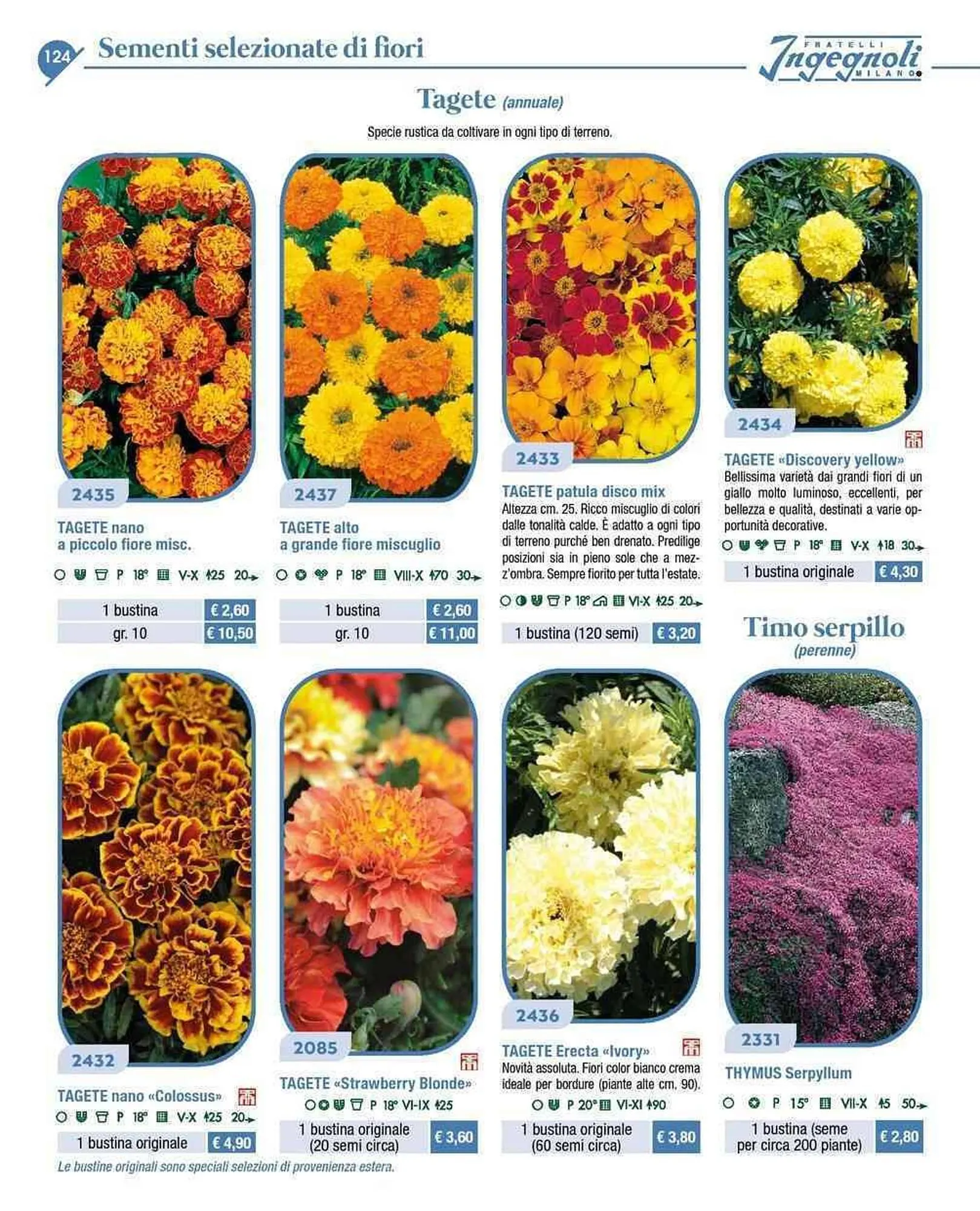 Volantino Ingegnoli da 4 novembre a 31 dicembre di 2025 - Pagina del volantino 21