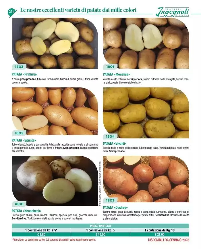 Catalogo guida 2025 da 20 gennaio a 31 dicembre di 2025 - Pagina del volantino 216