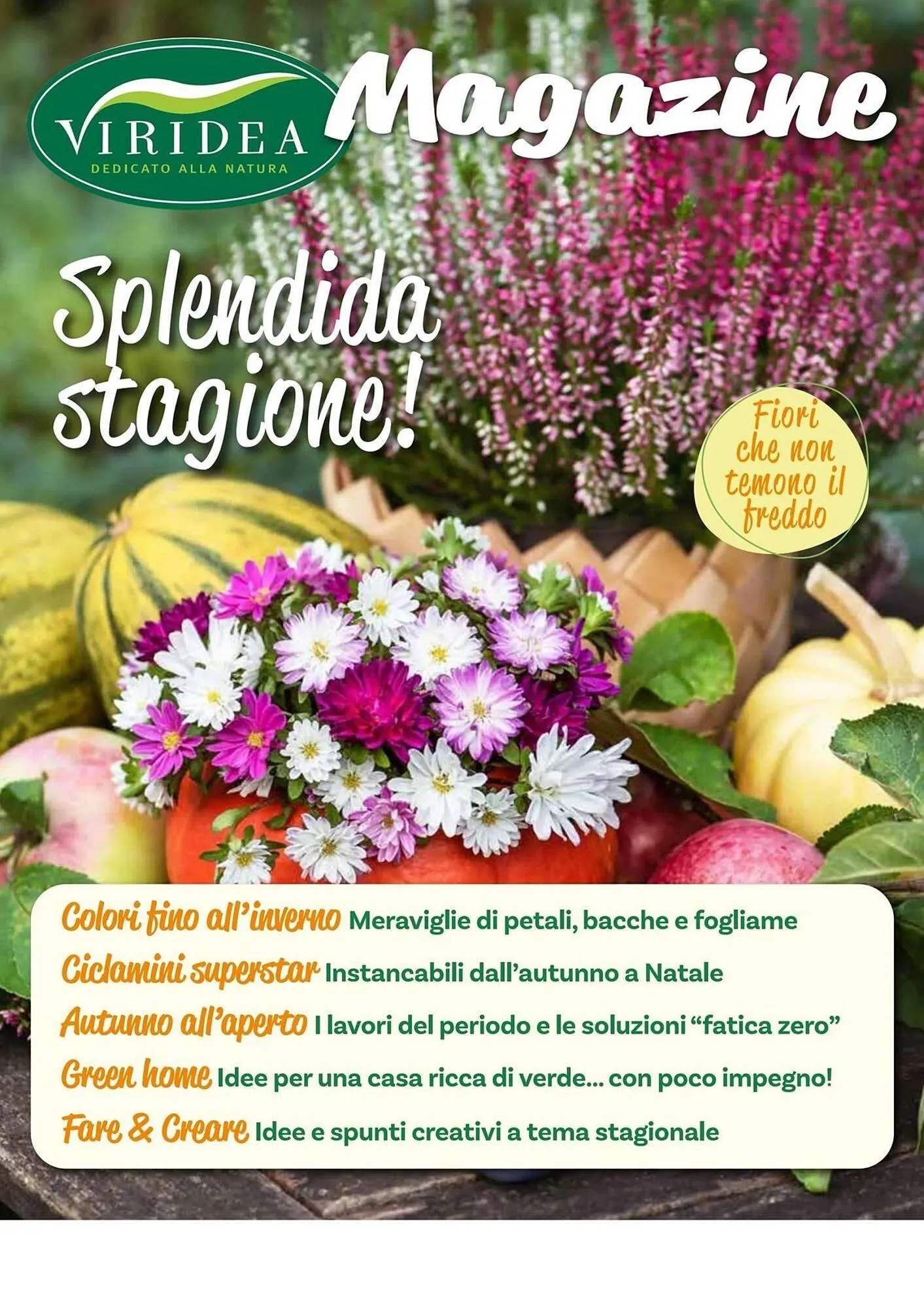 Volantino Viridea da 17 ottobre a 22 dicembre di 2025 - Pagina del volantino 1