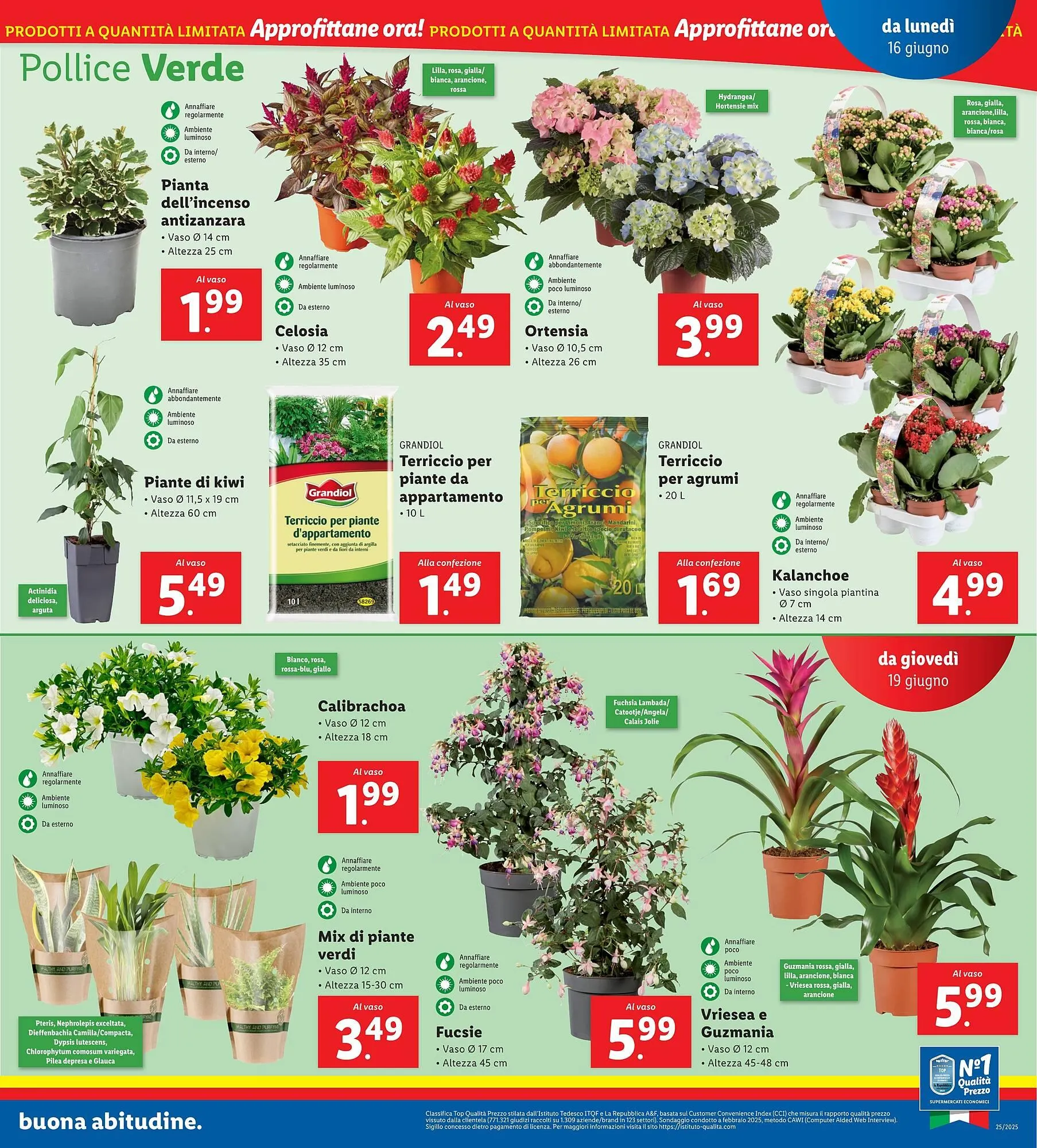 Volantino Lidl da 16 giugno a 22 giugno di 2025 - Pagina del volantino 27