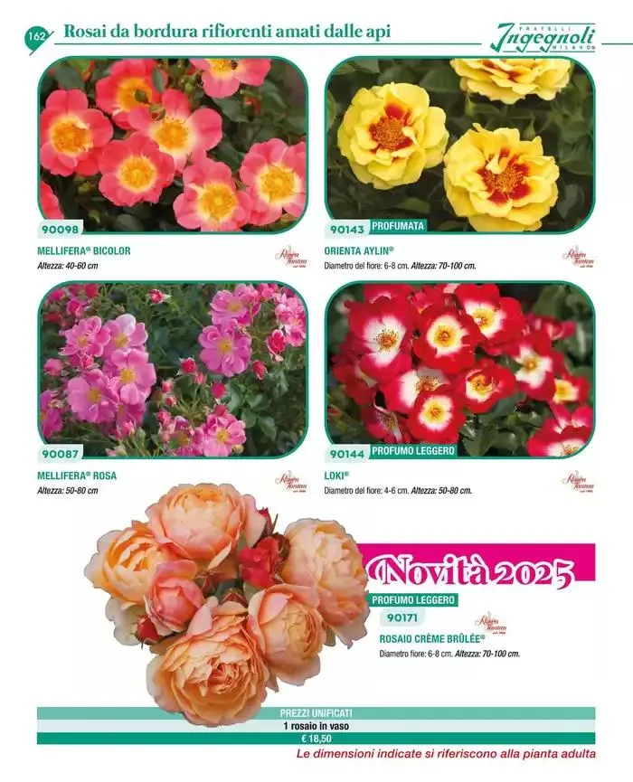 Catalogo guida 2025 da 20 gennaio a 31 dicembre di 2025 - Pagina del volantino 164