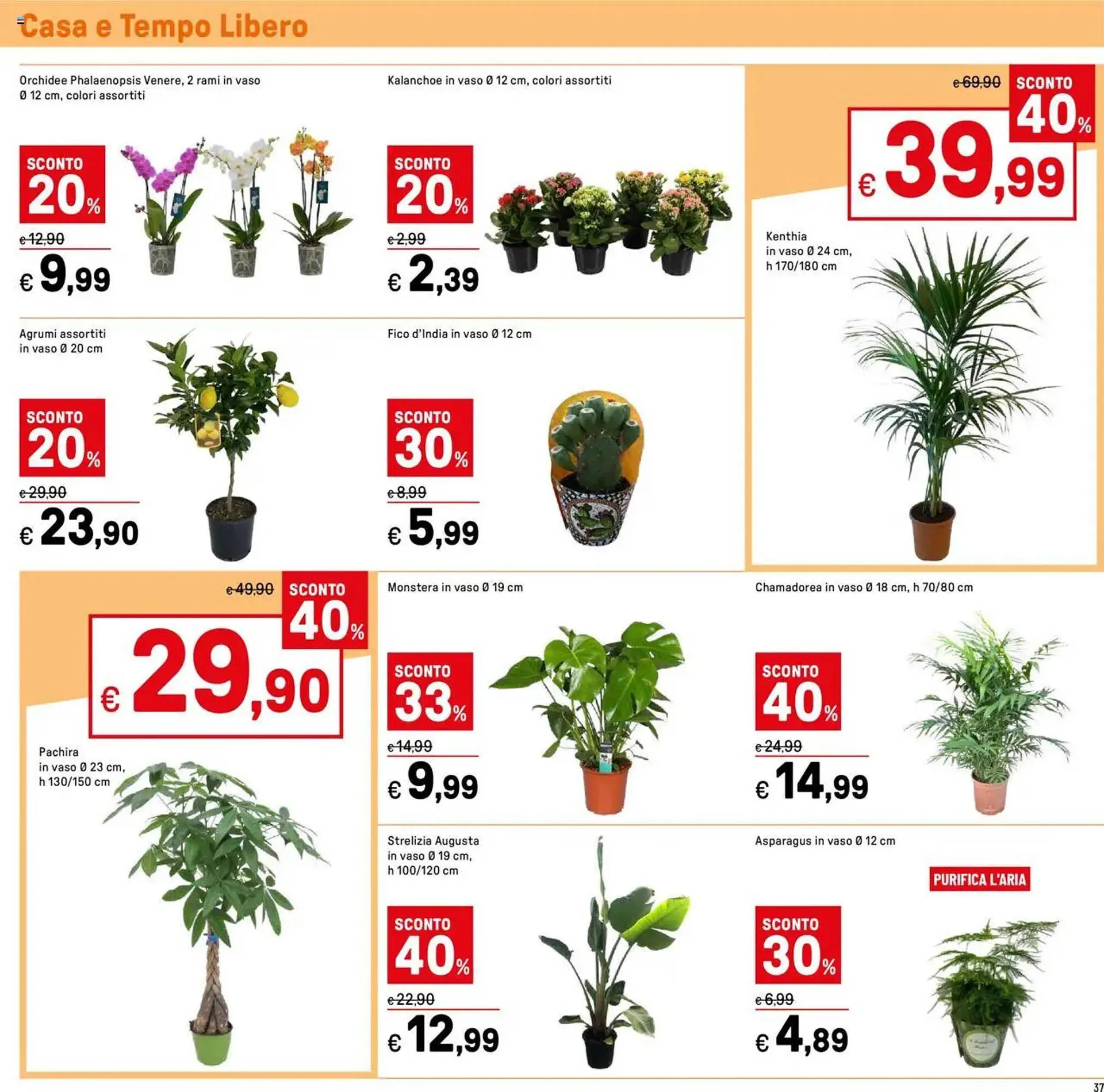 Volantino Iper La Grande da 10 gennaio a 19 gennaio di 2025 - Pagina del volantino 37