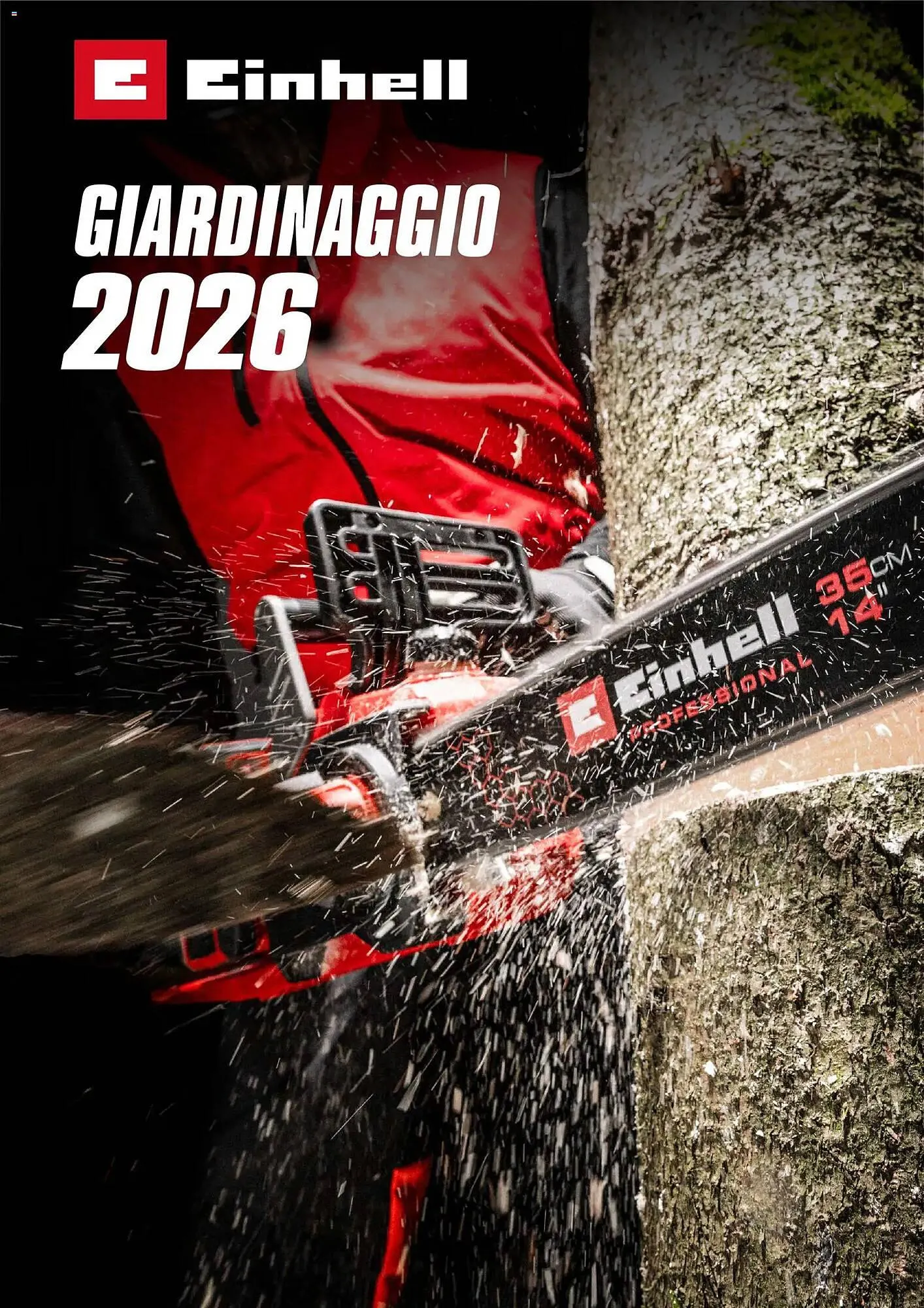 Volantino Einhell da 17 marzo a 31 dicembre di 2026 - Pagina del volantino 1