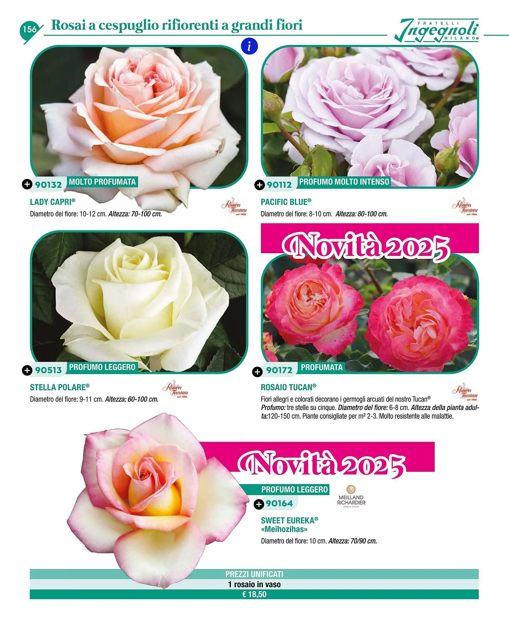 Volantino Ingegnoli da 4 novembre a 31 dicembre di 2025 - Pagina del volantino 158