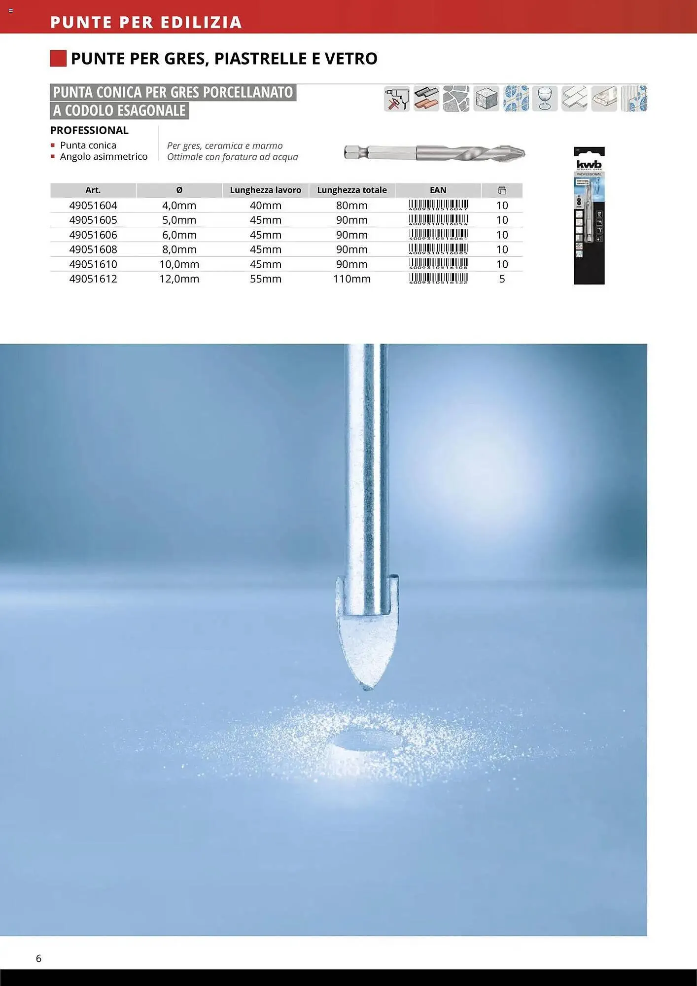 Volantino Einhell da 17 marzo a 31 dicembre di 2026 - Pagina del volantino 8
