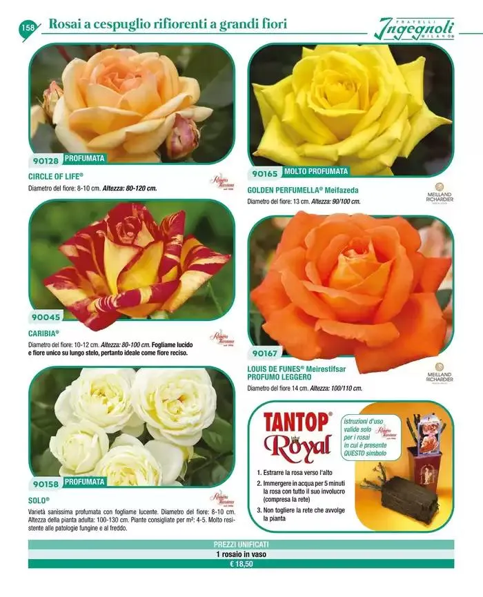 Catalogo guida 2025 da 20 gennaio a 31 dicembre di 2025 - Pagina del volantino 160