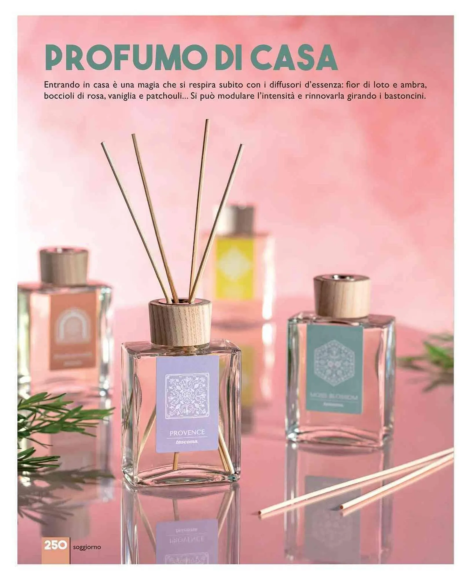 Volantino Tescoma da 11 luglio a 31 dicembre di 2023 - Pagina del volantino 250