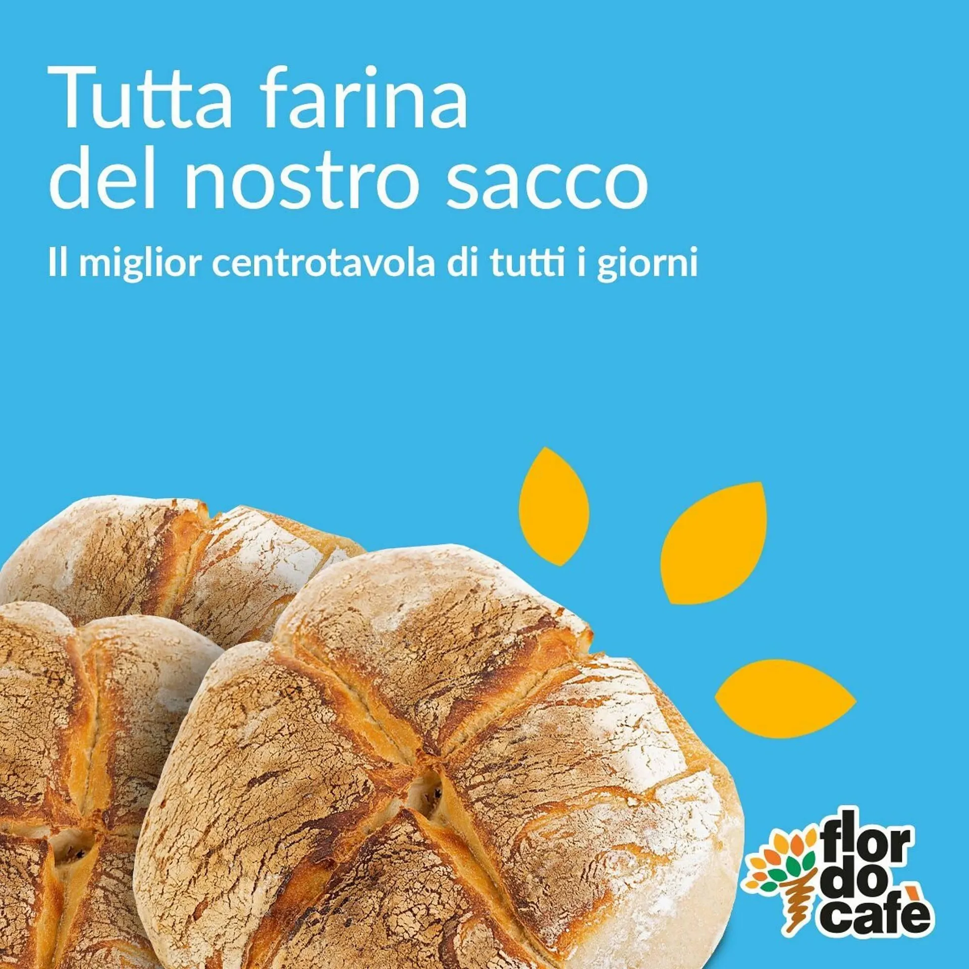 Volantino Flor do cafe - 1