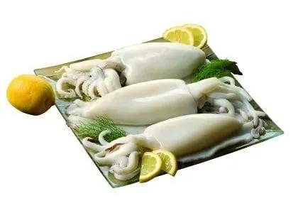 Seppie pulite pescate Oceano Atlantico con ami e palangarie