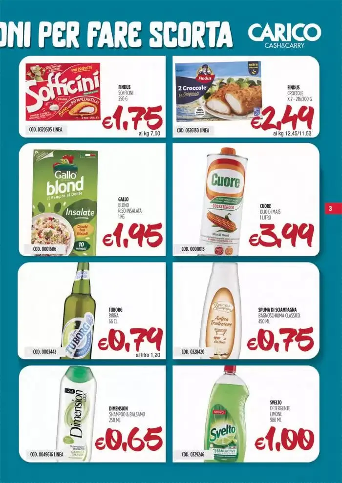 Offerte Carico Cash & Carry da 8 maggio a 21 maggio di 2025 - Pagina del volantino 3