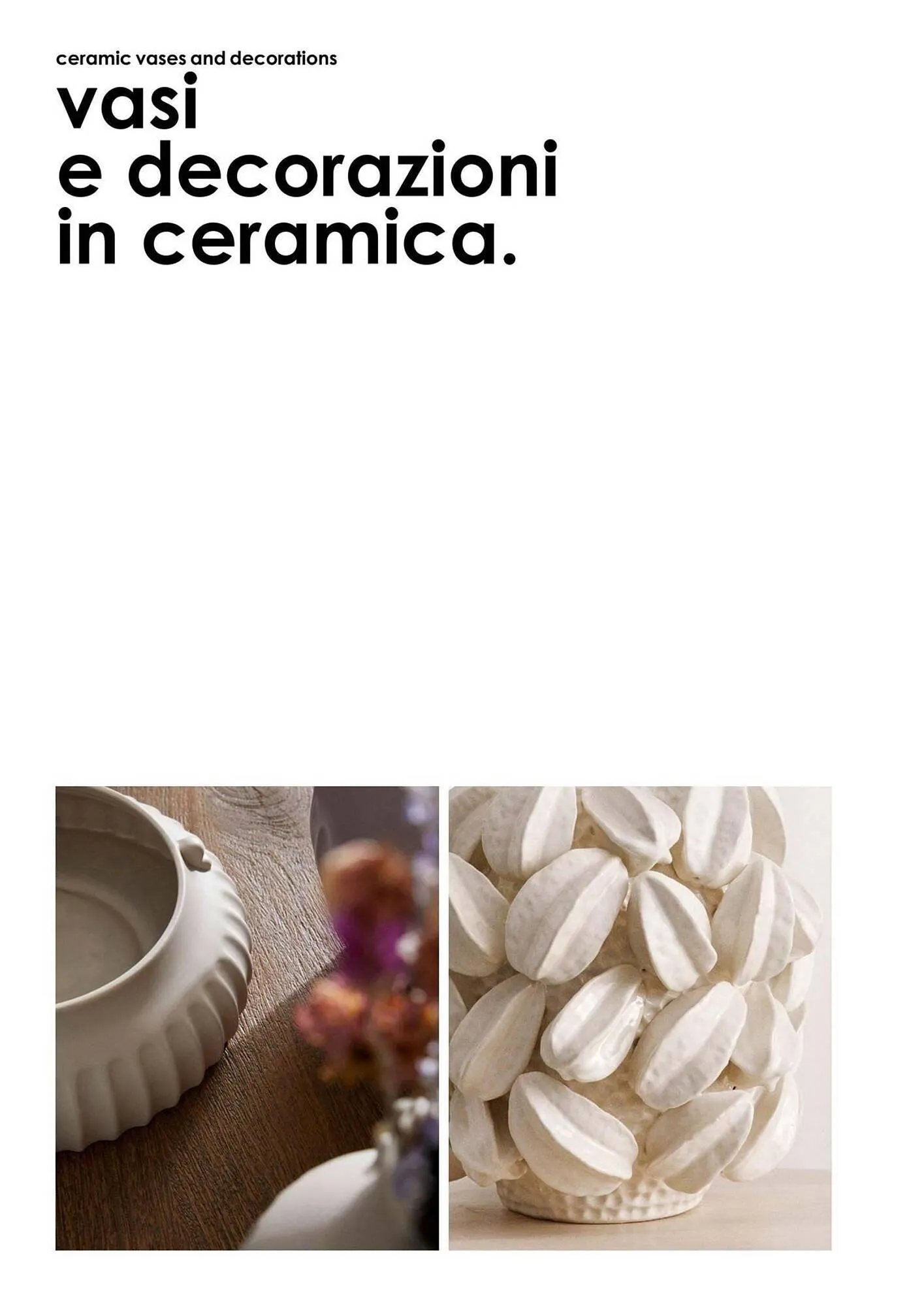 Volantino Bizzotto da 21 gennaio a 31 dicembre di 2025 - Pagina del volantino 35