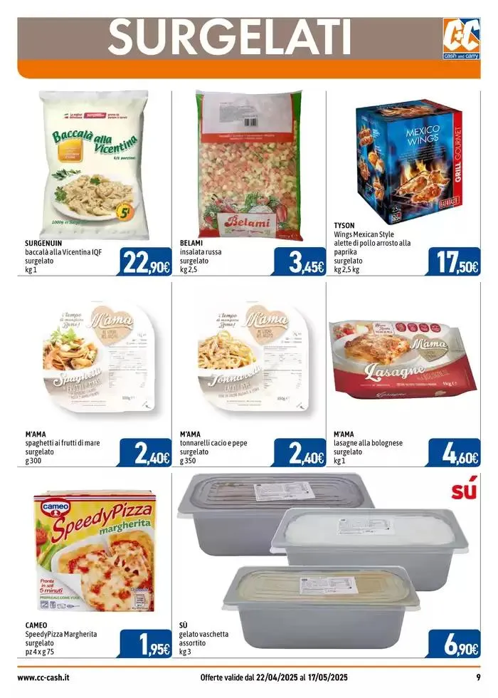 Professional da 23 aprile a 17 maggio di 2025 - Pagina del volantino 9