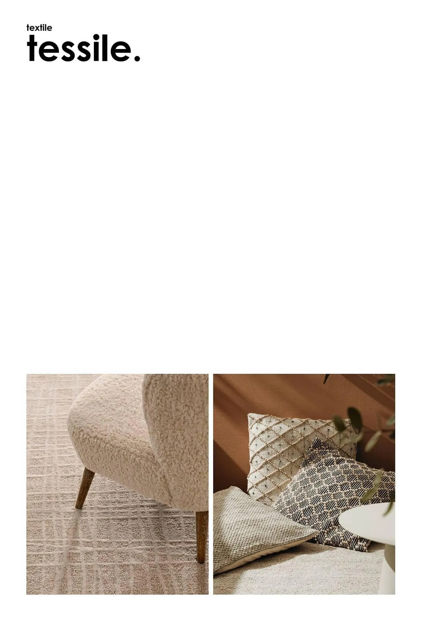 Volantino Bizzotto da 3 febbraio a 31 dicembre di 2025 - Pagina del volantino 101