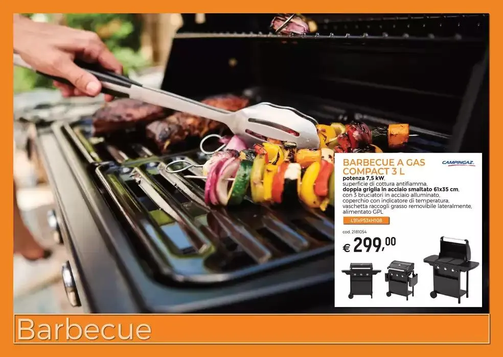 Barbecue da 19 marzo a 22 settembre di 2025 - Pagina del volantino 1
