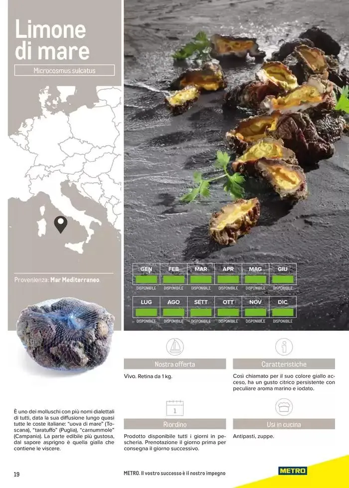 Catalogo Frutti di mare da 2 gennaio a 31 luglio di 2025 - Pagina del volantino 19