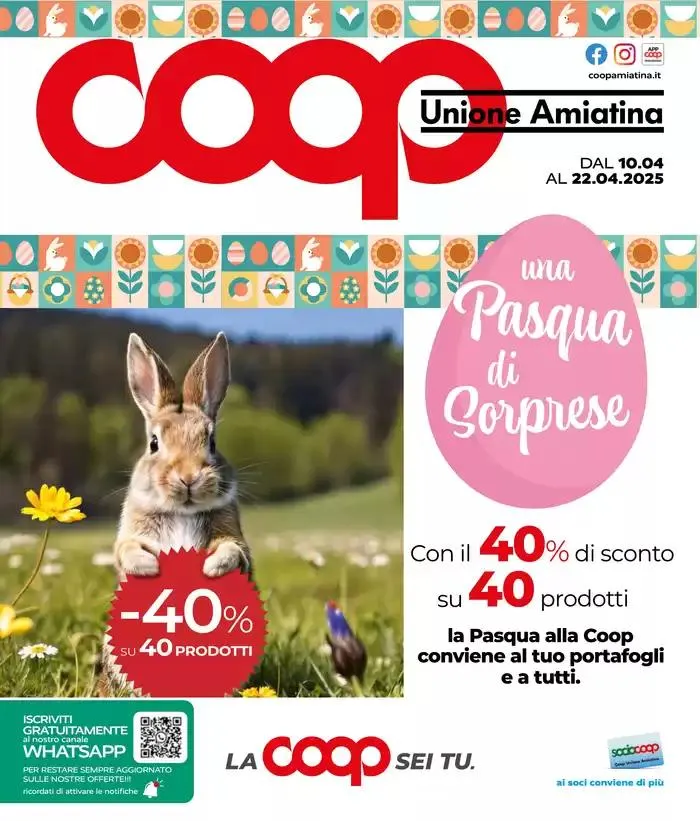 Una pasqua di sorprese da 10 aprile a 22 aprile di 2025 - Pagina del volantino 1